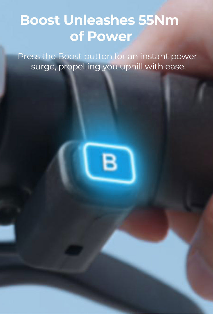Engwe EP-2 Boost Opvouwbare Elektrische Fatbike met Torque Sensor